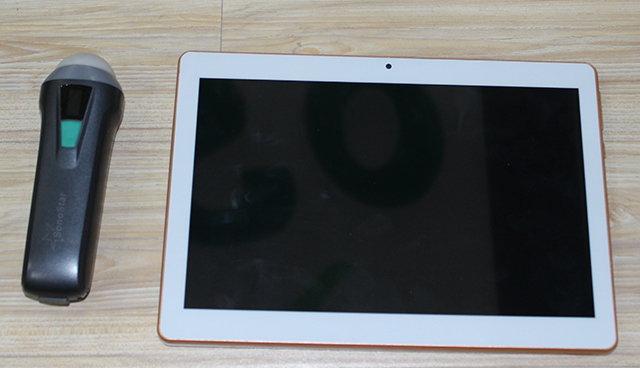 2023032520608271.jpg 1-1P205150203G8.jpg