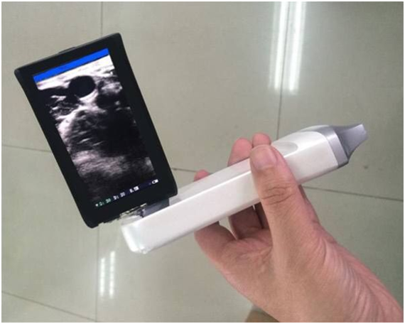 2023032562428570.png 1642582823116380.png