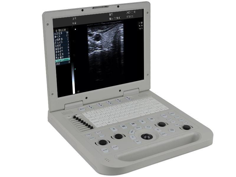 2025070447698278.jpg 03.jpg